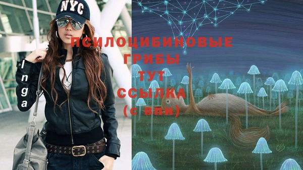 Альфа ПВП Алзамай